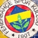 Fenerbahçe FB Token Paribu ile Anlaştı!