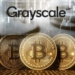 Grayscale Kurucusundan Çarpıcı Açıklama “Bitcoin 100.000 Dolar Olabilir!”