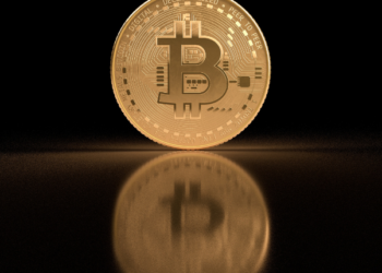 Bitcoin Balinaları Biriktirmeye Devam Ediyor!