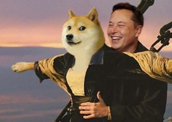 Elon Musk Tweet Attıktan Sonra DOGE Güncellemesi Geldi