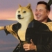 Elon Musk Tweet Attıktan Sonra DOGE Güncellemesi Geldi