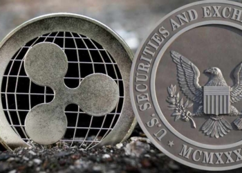 SEC ve Ripple Davası Hakkında Yeni İddialar Ortaya Atıldı