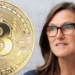 Bitcoin 500.000 Dolar Olacak Dedi, Tarih Verdi!