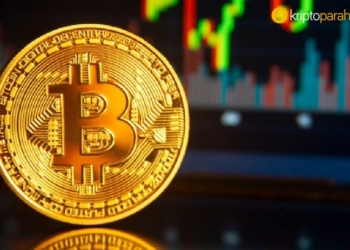 Analistler Açıkladı ! Bu 4 Altcoin, Solana Gibi Ralli Yapabilir!