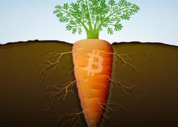 Bitcoin Çekirdek geliştiricileri, Taproot Destekli İlk Yazılımı Yayınladı Taproot Nedir?