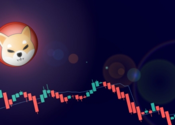 Shiba Inu, Coinbase Pro’da Listelenmesinin Ardından Neler Olacak?