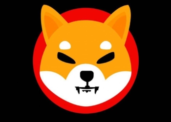 Ralli Devam Ederse Shiba, Dogecoin’i Tahtından Edebilir!