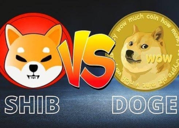 Shiba Inu (SHIB), Dogecoin’i Ezdi Geçti!
