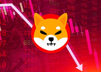 Shiba Inu (SHIB) Cephesinde Neler Oluyor?