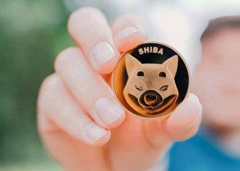 Shiba Inu (SHIB) 5 Ay Sonra Rekor Kırdı!