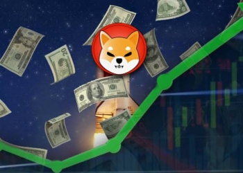 5.000 Shiba Inu (SHIB) Sahibi, Rekor Oranda Kara Geçti.