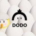 DODO 4. Çeyrek Yol Haritasını Yayınladı.