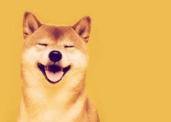 Robinhood, Shiba Inu İçin Bir Adım Atmış Olabilir!