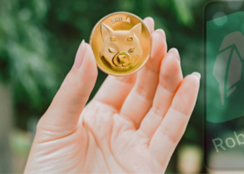 Shiba’nın Artık Bir Robinhood Listelemesine İhtiyacı Olmamasının Nedeni