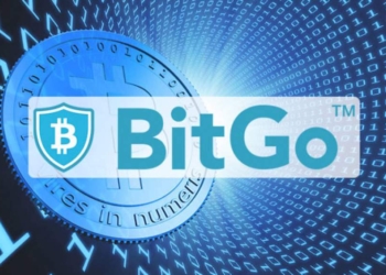 BitGo : Şirketler haftalık olarak bilançolarına bitcoin eklemek istiyor