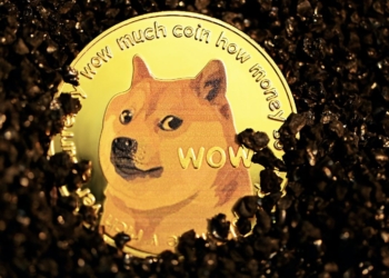 Dogecoin Milyoneri ve 3 Analistten DOGE ve SHIB Tahminleri