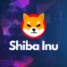 Kripto Analisti $SHIB Ordusundan Özür Diledi: $SHIB, $ETH İçin $DOGE’dan Daha Güçlü Bir Rakip !