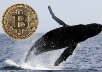Üçüncü En Büyük Bitcoin Balinası Bitcoinlerini Sattı! Fiyat Etkilenmiş Gözükmüyor