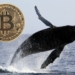 Üçüncü En Büyük Bitcoin Balinası Bitcoinlerini Sattı! Fiyat Etkilenmiş Gözükmüyor
