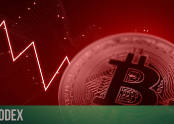 Bitcoin 50 Bin Dolara Dönebilir mi? Analistler Yorumladı!