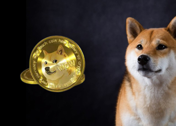 Haftalık Grafik Tarih Yazıyor : Doge Yeni Seviyelere Yükselebilir !