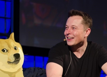 Elon Musk “Doge Vakfı ile Alakam Yok”