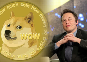 Dogecoin (DOGE) Artık Elon Musk’un Tweetlerinden Etkilenmiyor ! Dogecoin ve Meme Coinler Ne Olacak ?