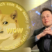 Dogecoin (DOGE) Artık Elon Musk’un Tweetlerinden Etkilenmiyor ! Dogecoin ve Meme Coinler Ne Olacak ?