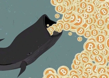 BTC Tüm Zamanların En Yüksek Seviyesini Denerken Bitcoin Balinalarının Sayısı Artıyor