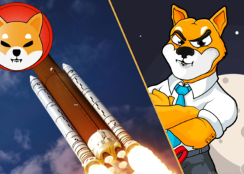 Tüm SHIB Tokenlerinin Neredeyse %40’ı Artık Halkın Elinde !