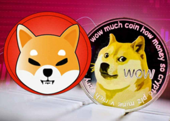 Trader’lar Shiba Inu kârlarını DOGE’ye Çevirdi! Bir günde Yüzde 44 arttı!
