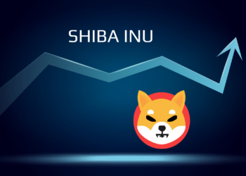 Shiba Inu, Fiyatı Yeni Rekor Seviyelere Ulaşırken Artık Nissan ve LG Electronics’ten Daha Değerli