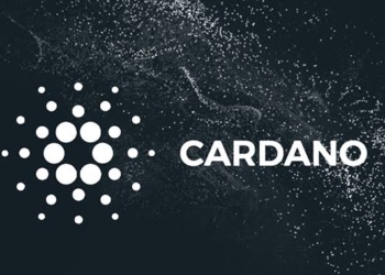 Cardano (ADA) Cüzdanlarının Sayısı Mayıs 2021’e Kıyasla 2 Kat Arttı
