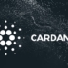 Cardano (ADA) Cüzdanlarının Sayısı Mayıs 2021’e Kıyasla 2 Kat Arttı