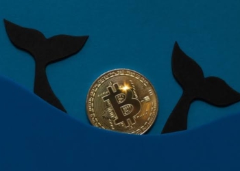 Üçüncü En Büyük Balina, Bitcoin Almaya Devam Ediyor