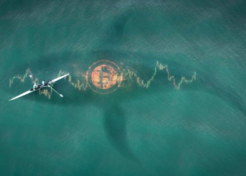 Balinalar Bitcoin Biriktiriyor! Bir Yükseliş Trendi İzlenebilir!