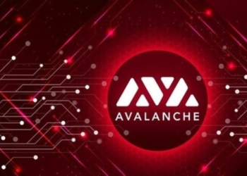 AVAX Avalanche: Avalanche Ağında Yeni Çıkacak Coin’ler Hangileri?
