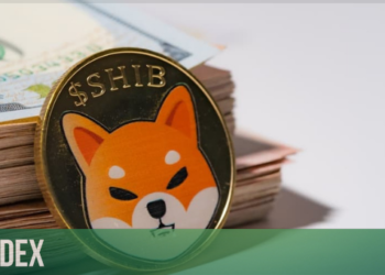 Shiba Inu Sahibi Balina 2,76 Milyar Doları Dört Farklı Cüzdana Taşıdı