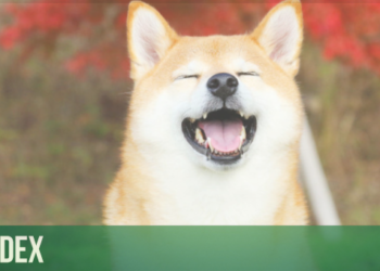 Shiba Yükseliş Trendini Sürdürüyor Shiba Ne Olacak? Shiba Analizi