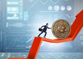 Analist Michaël van de Poppe’ye göre bu coinler dip yapabilir