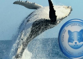 Shiba Inu Balinaları Düşüşlerde 20 Milyar SHIB Satın Aldı!
