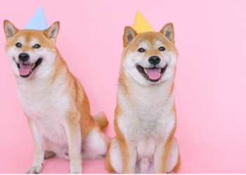 Shiba Inu (SHIB), Güney Kore Borsasında Listeleniyor!