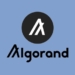 Algorand Singapur Blockchain Birliği ile Anlaştı
