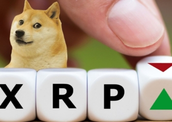 Ripple CEO’su Brad Garlinghouse, Dogecoin’i Tutmayacağını Söyledi – İşte Nedeni