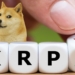 Ripple CEO’su Brad Garlinghouse, Dogecoin’i Tutmayacağını Söyledi – İşte Nedeni