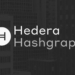Hedera Hashgraph’ın Yeni Hibesi Yatırım Şeklinizi Değiştirmek İstiyor! HBAR’ın Dikkat Çekici Planları