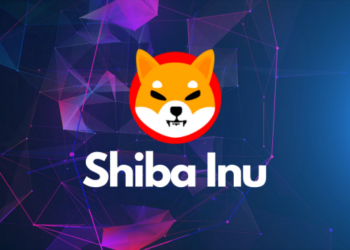 Yeni SHIB Balinası 171 Milyar Shiba Token Satın Aldı ! Shiba Balinaların Gözdesi Oluyor!
