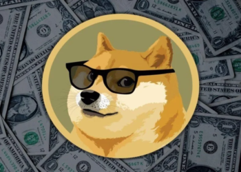 Dogecoin Tarihinde İlk Kez Yol Haritası Yayınladı! Neler Olacak?