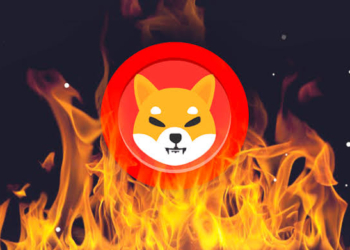 Shiba Inu (SHIB) Yakım Gelişmeleri Açıklandı!