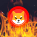 Shiba Inu (SHIB) Yakım Gelişmeleri Açıklandı!